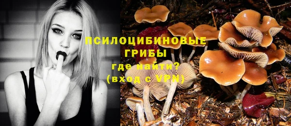 2c-b Белоозёрский